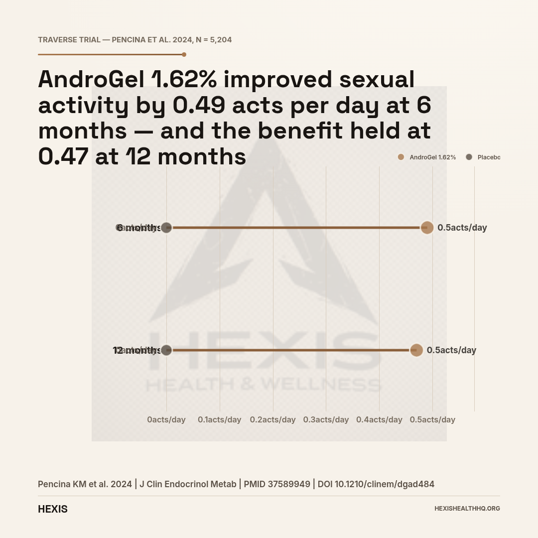 Dumbbell chart showing AndroGel 1.62% sexual activity improvement of 0.49 acts per day versus placebo at 6 months and 0.47 at 12 months in the TRAVERSE trial — demonstrating sustained benefit of testosterone replacement therapy