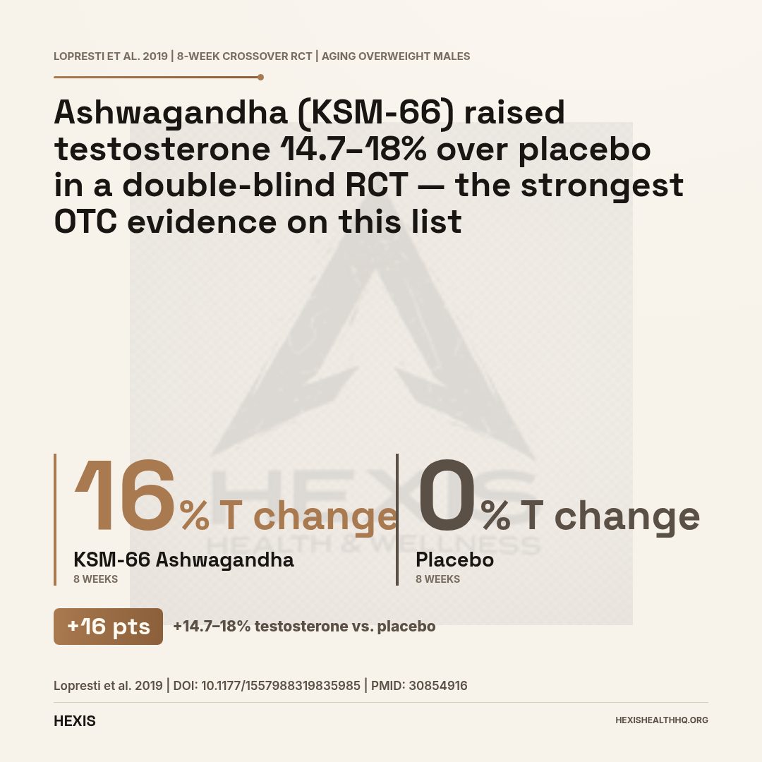 Gap-hero chart showing ashwagandha KSM-66 raising testosterone 14.7–18% versus placebo in the best supplements for testosterone RCT evidence