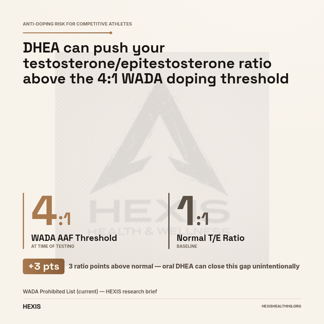 Gap hero chart showing normal testosterone-to-epitestosterone ratio of 1:1 versus the WADA anti-doping threshold of 4:1 — relevant for athletes considering DHEA supplements