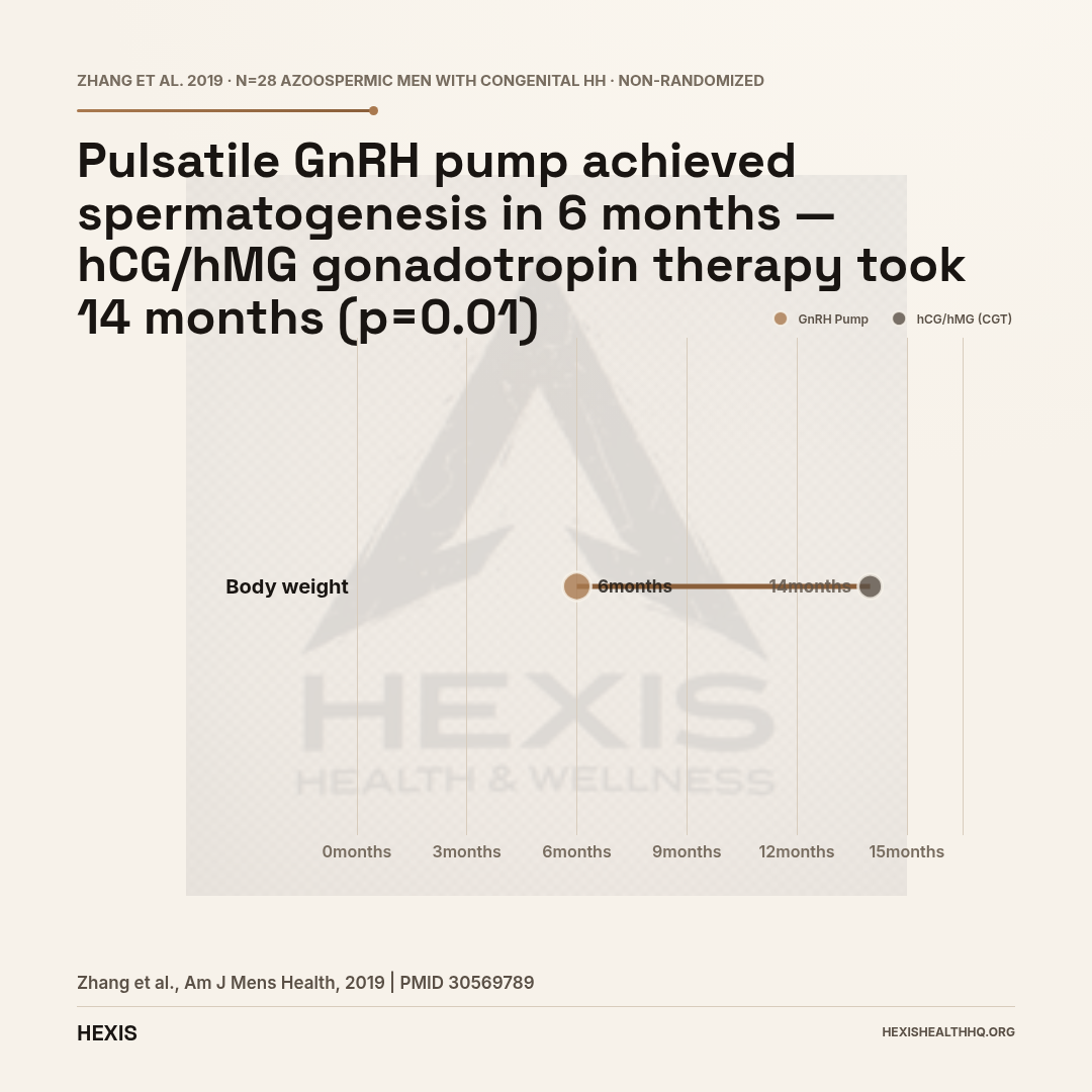 Dumbbell chart comparing median time to spermatogenesis: pulsatile GnRH pump at 6 months versus cyclical gonadotropin therapy with hCG and hMG at 14 months for men with congenital hypogonadotropic hypogonadism