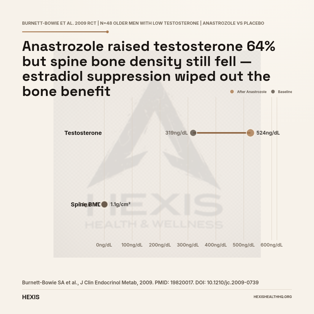 Dumbbell chart showing anastrozole's paradox in men with high estrogen: testosterone increased 64% while spine bone mineral density decreased, illustrating why aromatase inhibitors carry bone loss risk