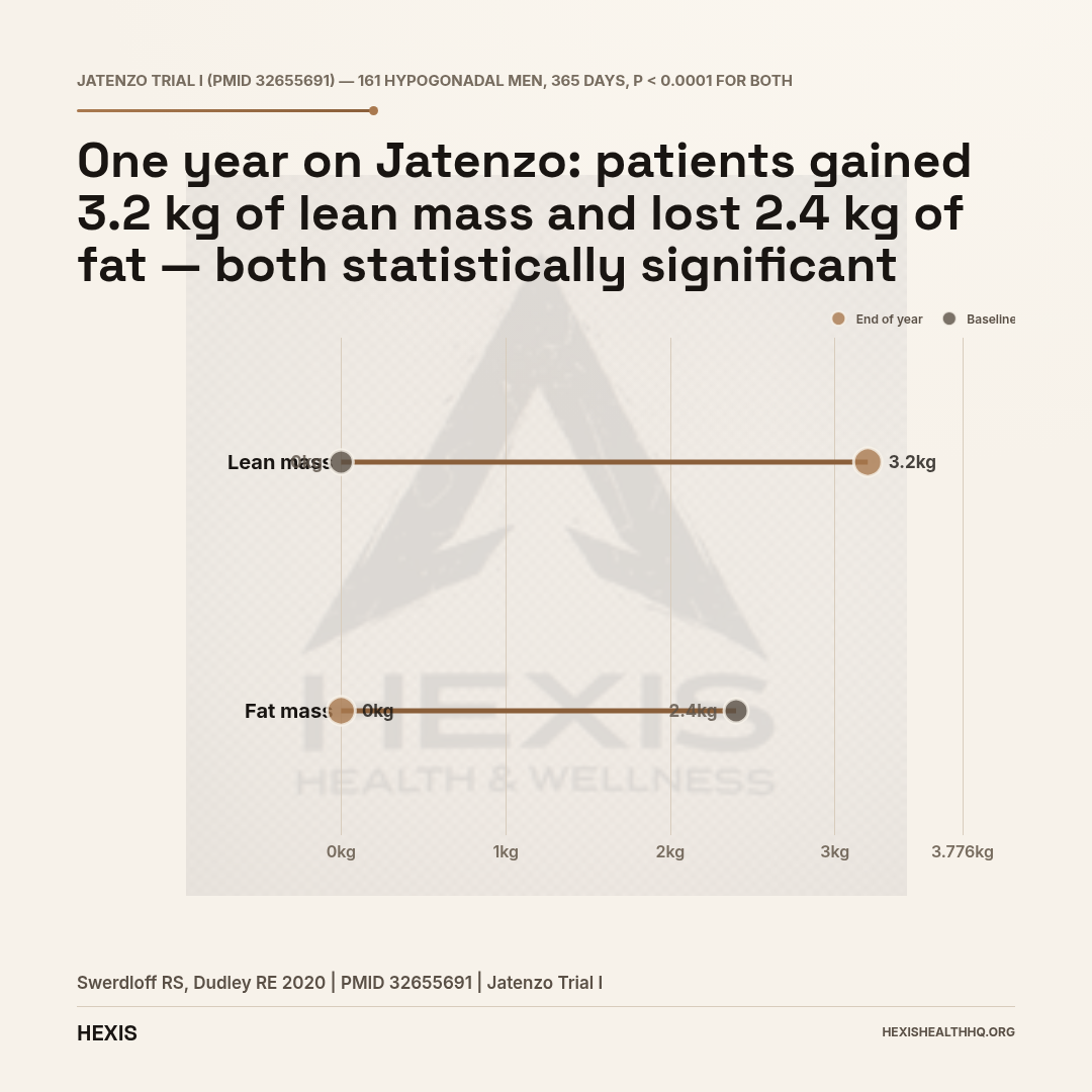 Dumbbell chart showing Jatenzo oral testosterone body composition changes at 365 days: lean mass increased by 3.2 kg (baseline to end) and fat mass decreased by 2.4 kg, both p less than 0.0001 in hypogonadal men
