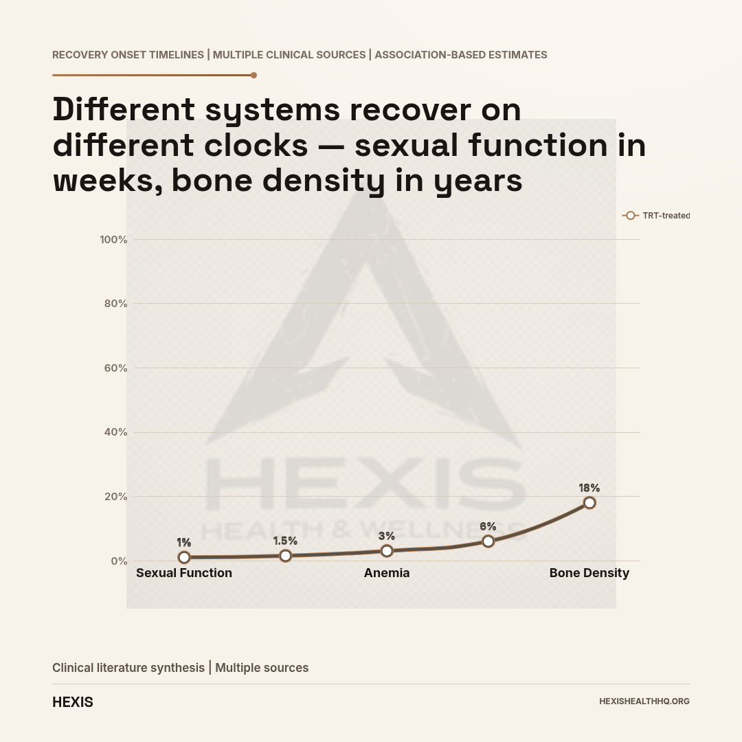 Slope chart showing testosterone treatment recovery timelines by body system — what low testosterone does to your body and how long it takes to reverse: sexual function 3–6 weeks, mood 4–6 weeks, anemia 3 months, body composition 3–24 months, bone 12–24 months