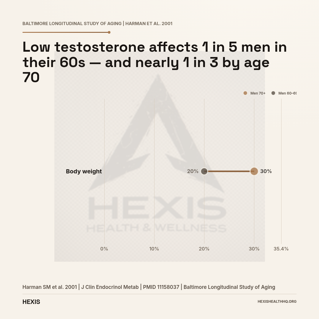 Dumbbell chart comparing low testosterone prevalence in men aged 60-69 versus men aged 70 and older, showing the rise from 20 percent to 30 percent based on the Baltimore Longitudinal Study of Aging